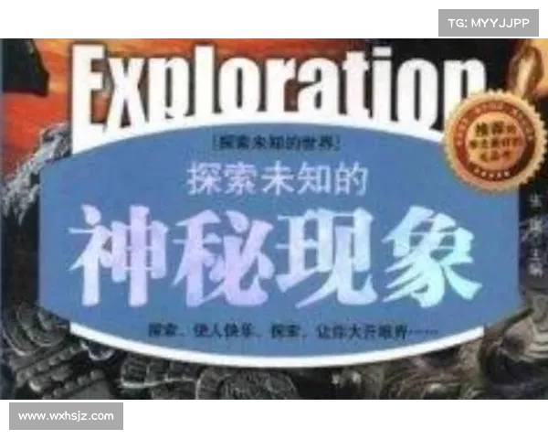 辐射四汉化简体中文：全新华语体验，探索未知的中文世界