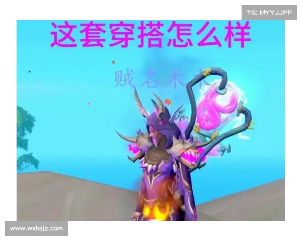 魔兽世界术士宠物升级之路