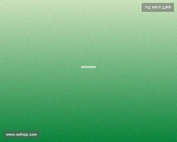 海口盈达咨询有限公司